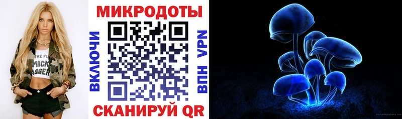 Купить где  Сланцы  Псилоцибиновые грибы мицелий 