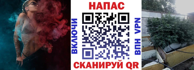 Шишки марихуана индика  Купить закладки  Сланцы 